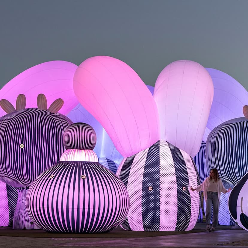 深圳光影艺术季